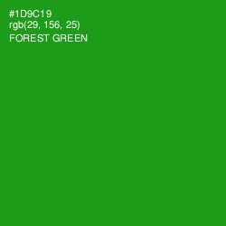 #1D9C19 - Forest Green Color Image